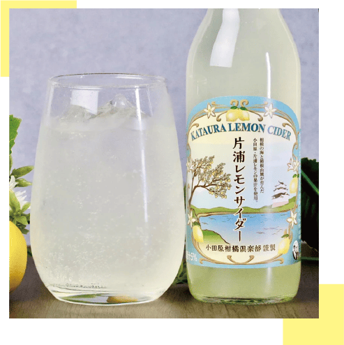 片浦レモンサイダー