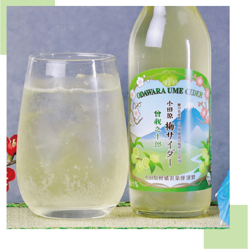 小田原梅サイダー