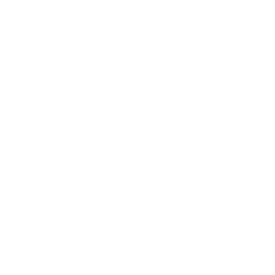 限定3,000本
