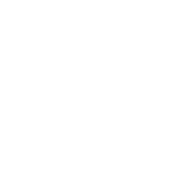 発売記念特別価格